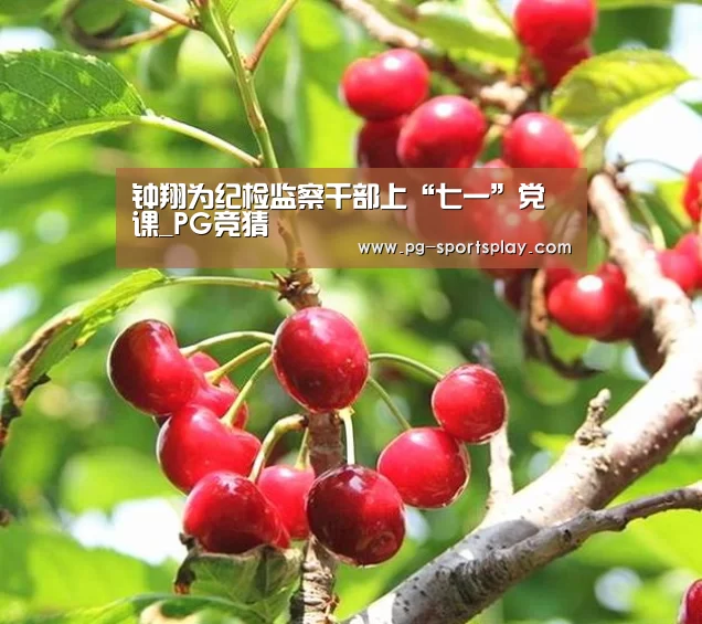 钟翔为纪检监察干部上“七一”党课_PG竞猜(图3) PG竞猜