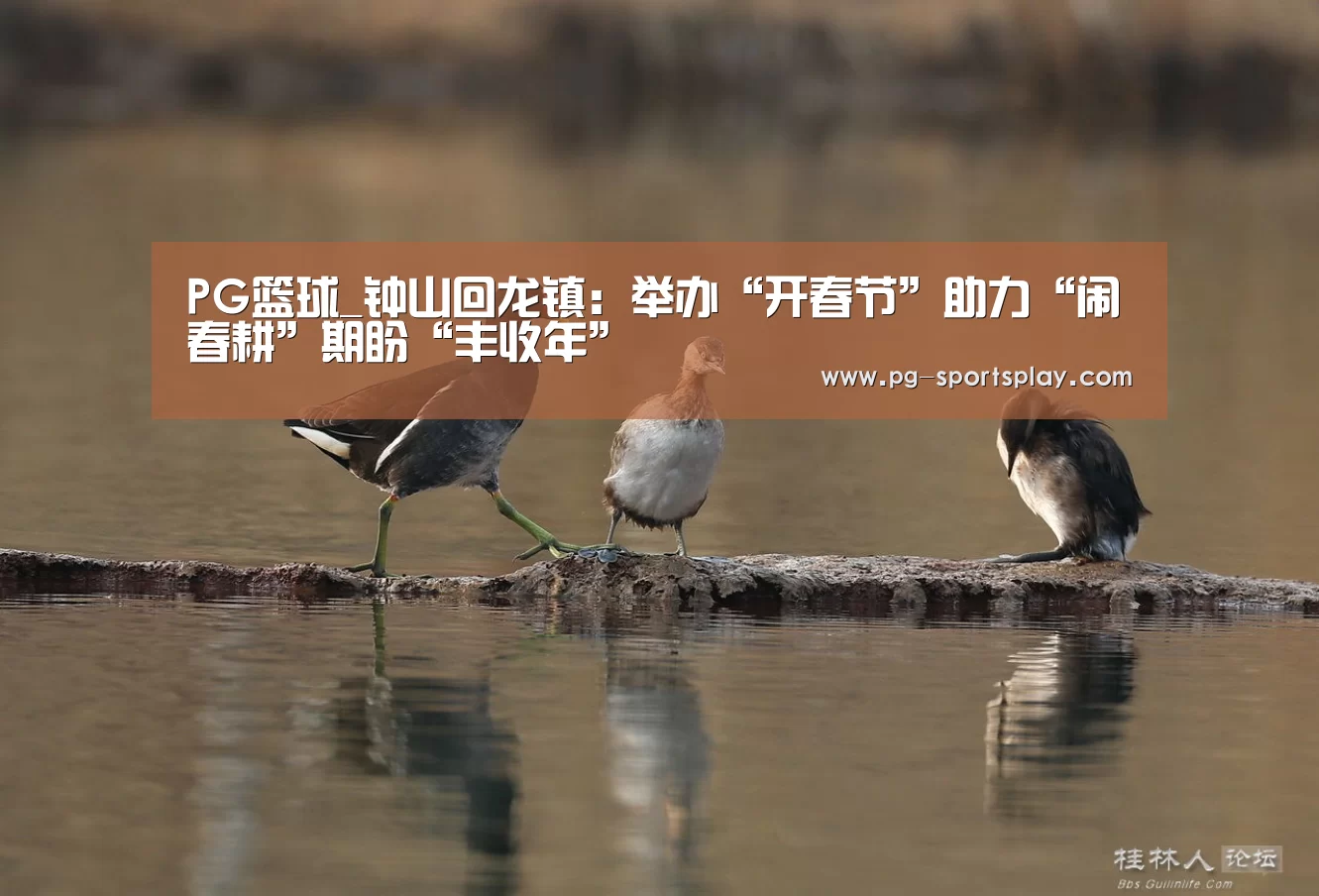 PG篮球_钟山回龙镇：举办“开春节”助力“闹春耕”期盼“丰收年”