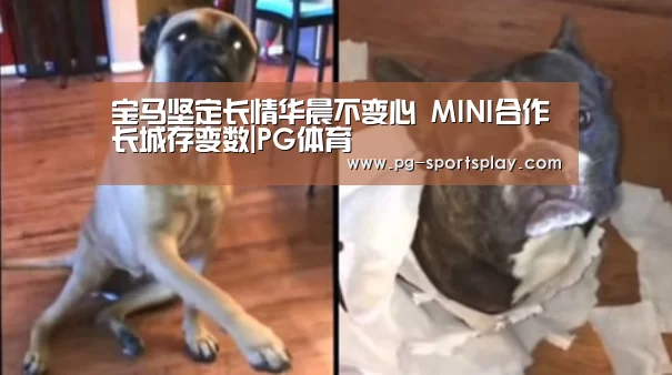 宝马坚定长情华晨不变心 MINI合作长城存变数|PG体育