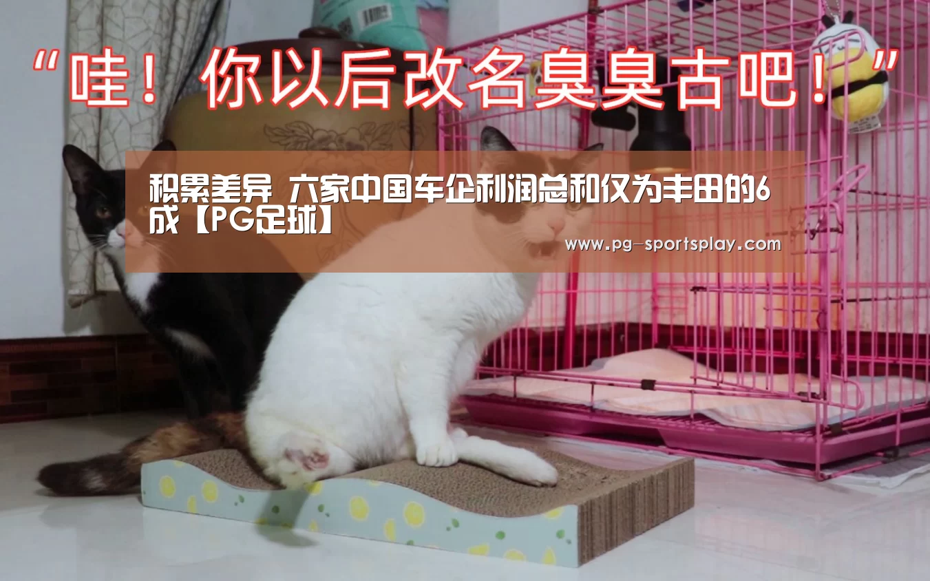 积累差异 六家中国车企利润总和仅为丰田的6成【PG足球】