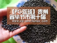PG体育