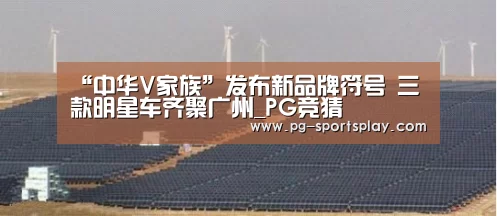PG篮球